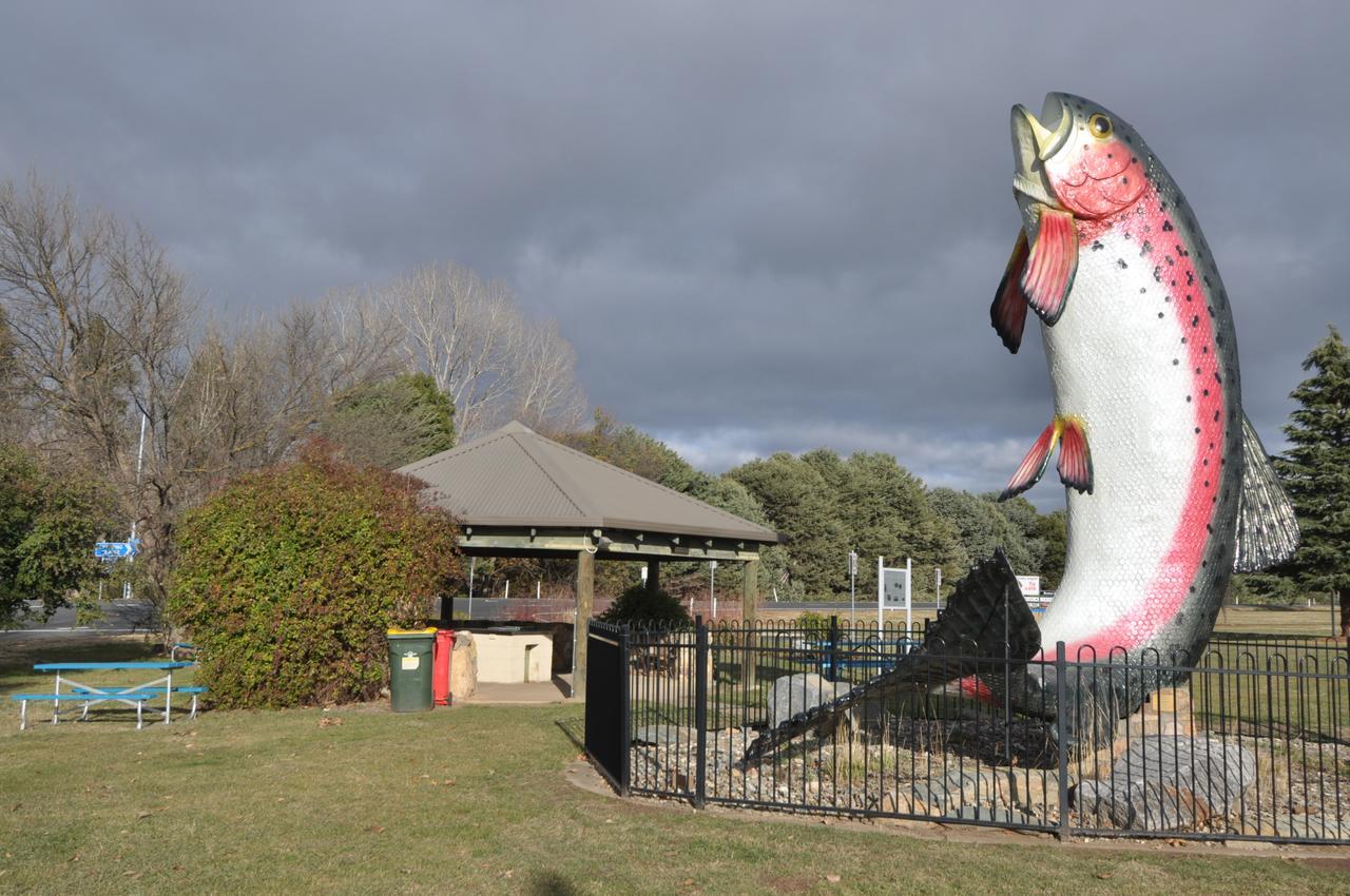Selwyn Star Lodge Adaminaby Exterior foto